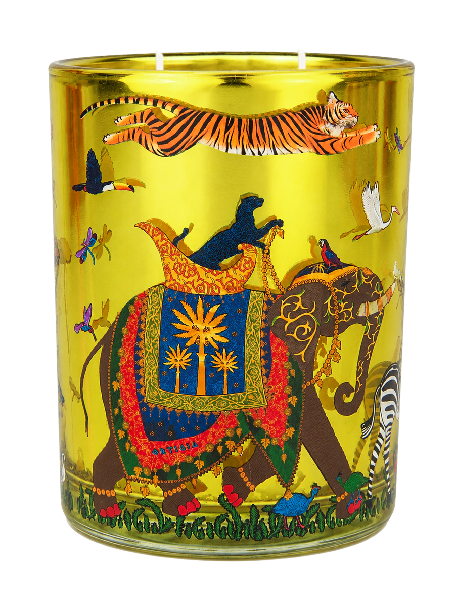 Ortigia Sicilia Zagara Tiger Candle Medium 380g