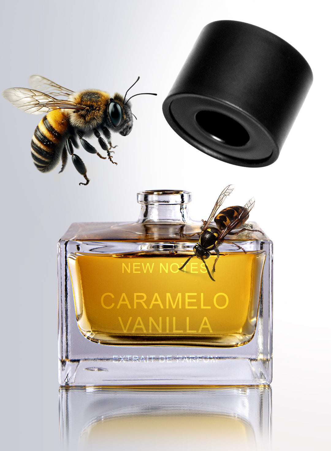 Caramelo Vanilla by New Notes 50ml