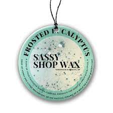 Sassy Scents Frosted Eucalyptus hanging car freshener