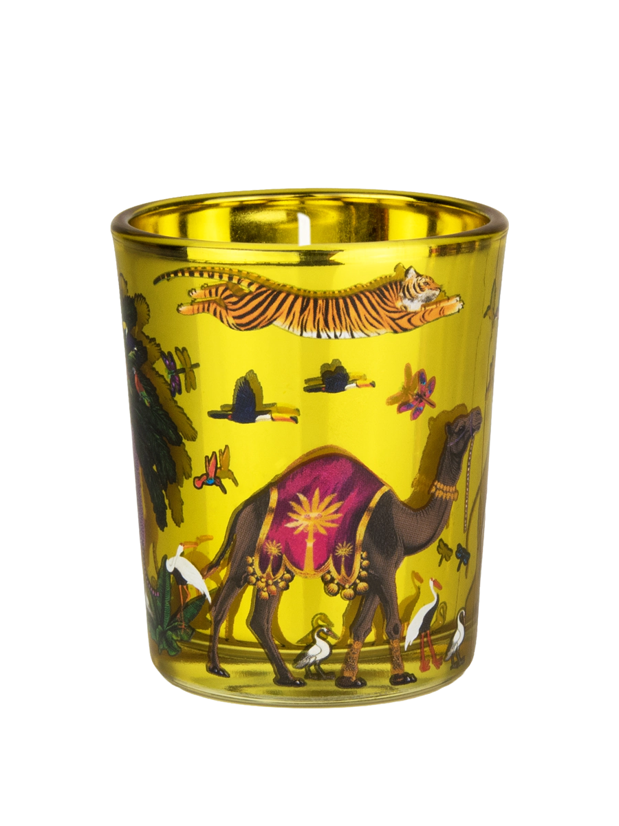 Ortigia Sicilia Zagara Tiger Candelina Candle 80g