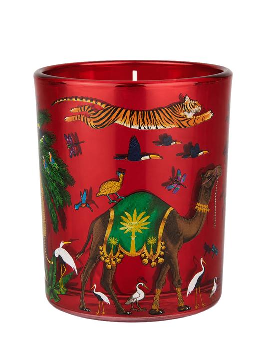 Ortigia Sicilia Palo Santo Tiger Candle Small 150g