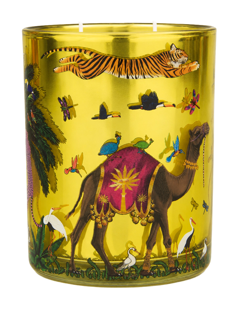 Ortigia Sicilia Zagara Tiger Candle Medium 380g