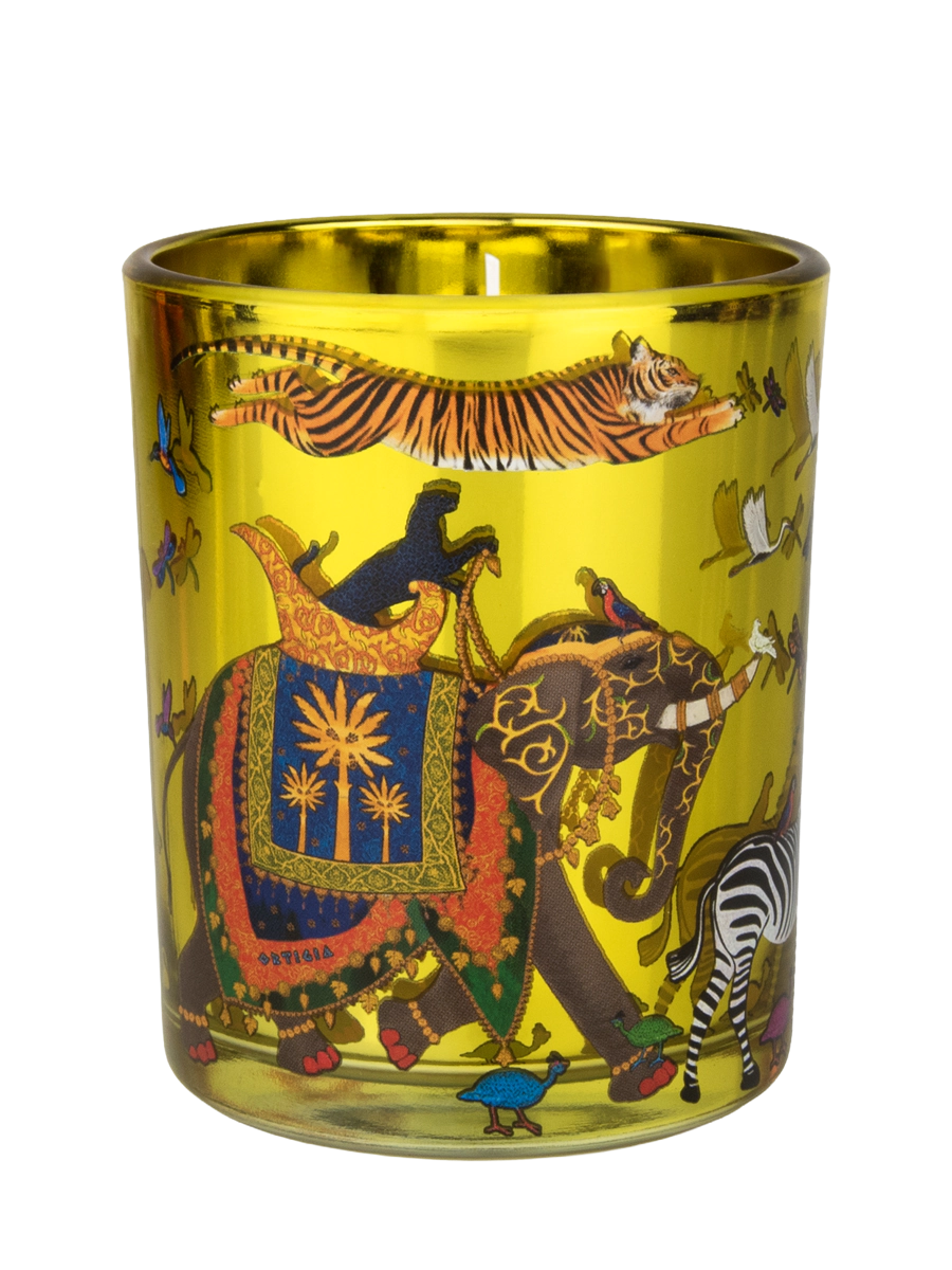 Ortigia Sicilia Zagara Tiger Candle Small 150g