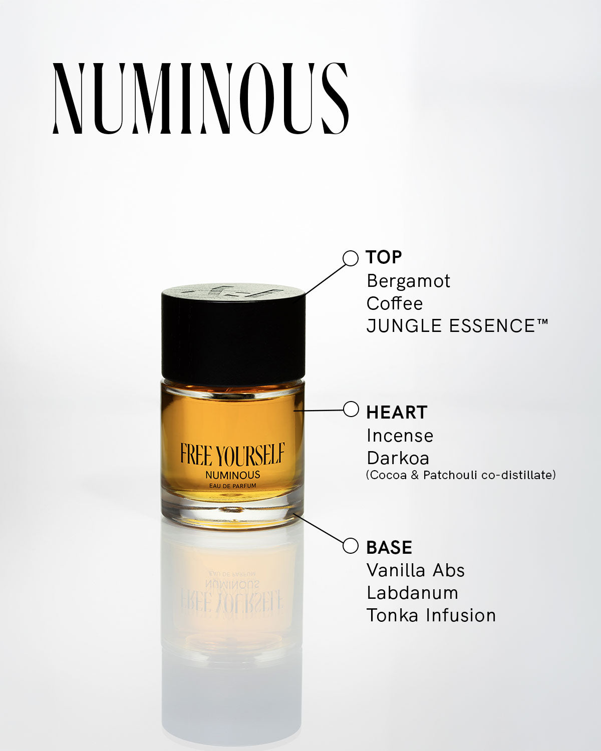 Free Yourself NUMINOUS Eau de Parfum